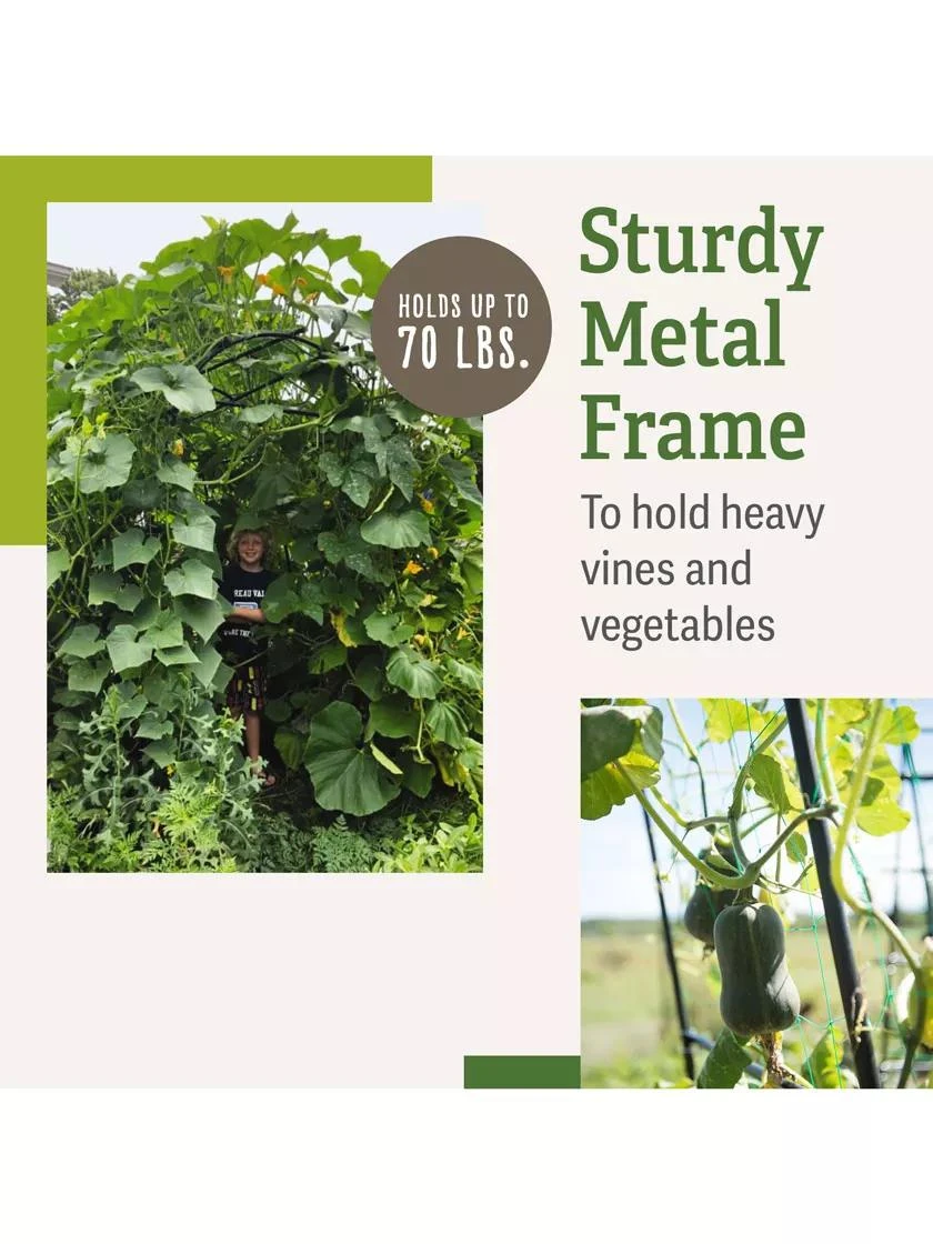 Titan Squash Tunnel 3 Titan Squash Tunnel - Image 3