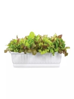31" Self-Watering Window Box 5 31" Self-Watering Window Box -Gardener's Supply Sales GS36523 01Z 3 4