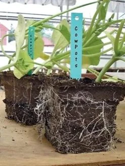 2-3/4" Square Cowpots 6-Packs, Set Of 4 5 2-3/4" Square Cowpots 6-Packs, Set Of 4 -Gardener's Supply Sales GS37034 05