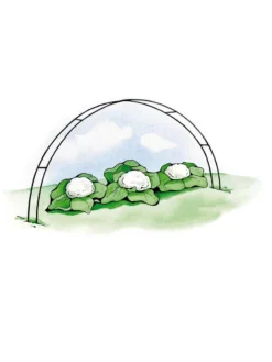 Super Hoops, Set Of 6 8 Super Hoops, Set Of 6 -Gardener's Supply Sales GS39423 02S 3 4