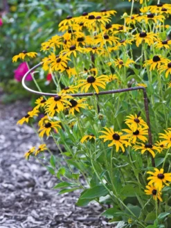 Jardin Half-Round Plant Supports, Set Of 2