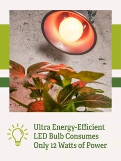 Miracle LED® Absolute Daylight™ Max Flowering Grow Light Bulb 9 Miracle LED® Absolute Daylight™ Max Flowering Grow Light Bulb -Gardener's Supply Sales Miracle Daylight Bulb 2