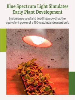 Miracle LED® Absolute Daylight™ Max Flowering Grow Light Bulb 11 Miracle LED® Absolute Daylight™ Max Flowering Grow Light Bulb -Gardener's Supply Sales Miracle Daylight Bulb 4