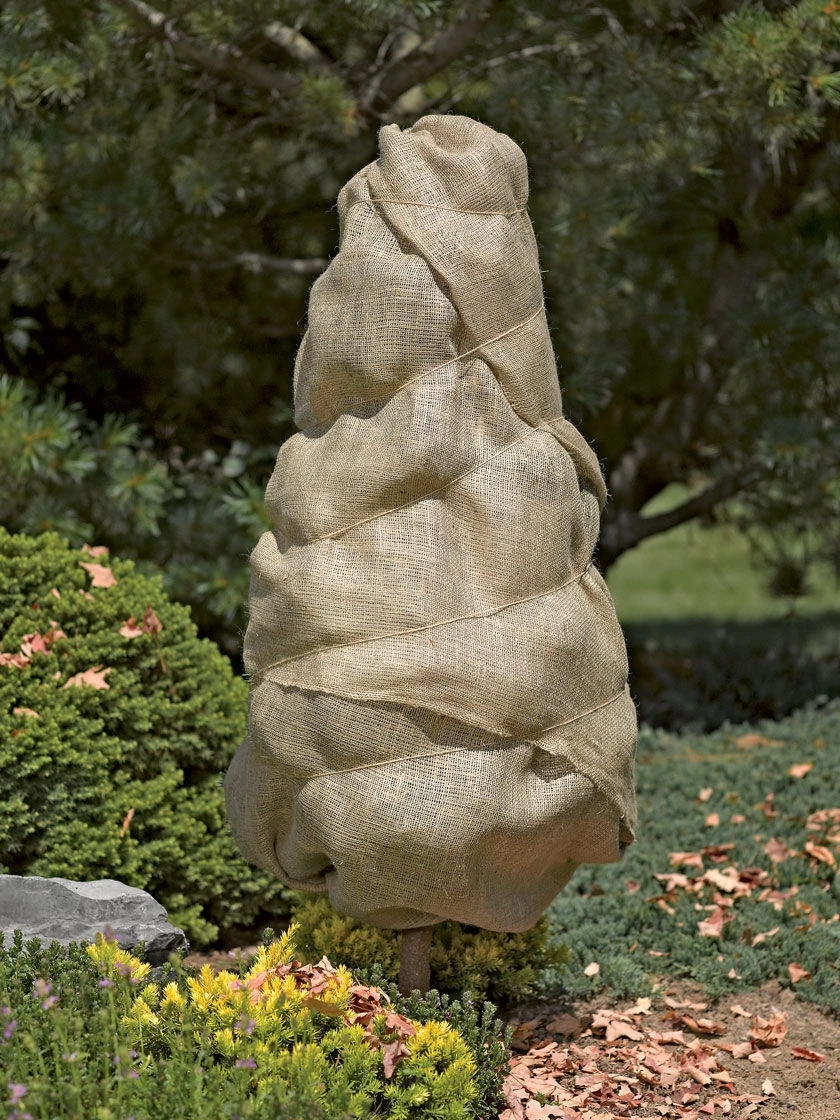 Burlap, 3' X 48' 1 Burlap, 3' X 48'