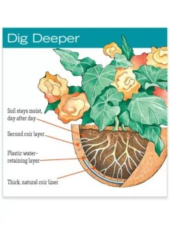 Gardener's Supply Sales -Gardener's Supply Sales hiw 38 583 jpg 1