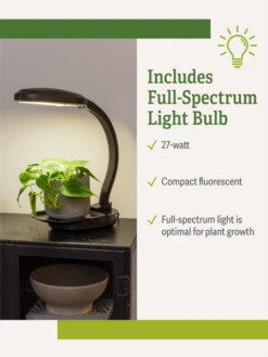 Agrobrite Desktop Plant Light 12 Agrobrite Desktop Plant Light -Gardener's Supply Sales webimage Agrobrite Desktop